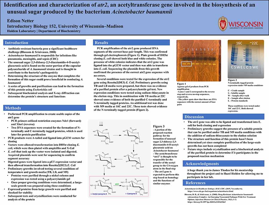 Sample poster from a Biology 152 student.