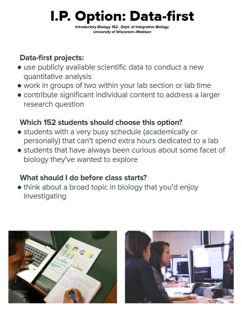 flyer showing more details about the data first option